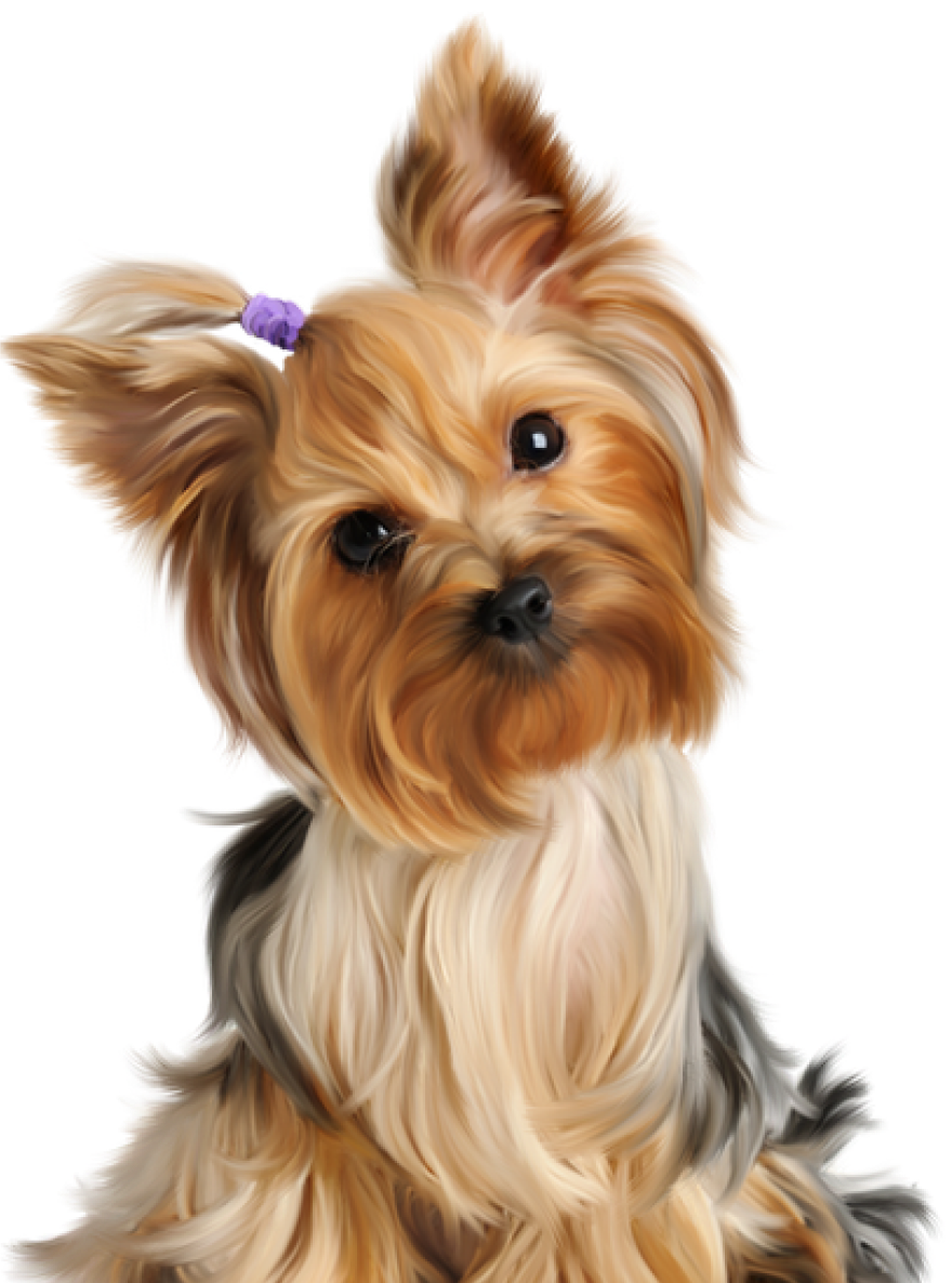 Lucy